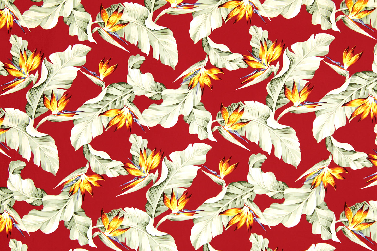 CAA1376 Red