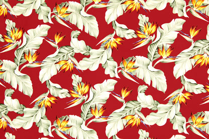 CAA1376 Red