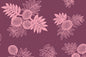 CAA1392 Dusty Rose