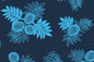 CAA1392 Navy