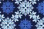 CAA1395 Navy