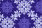 CAA1395 Purple