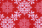 CAA1395 Red