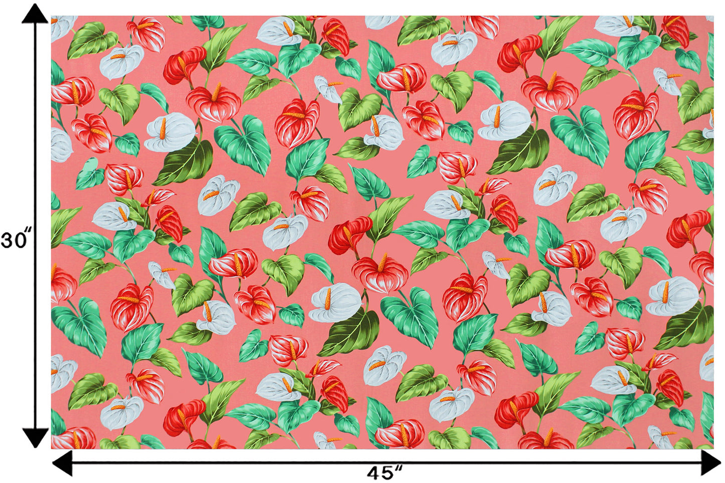CAA1410 Coral