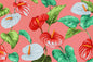 CAA1410 Coral