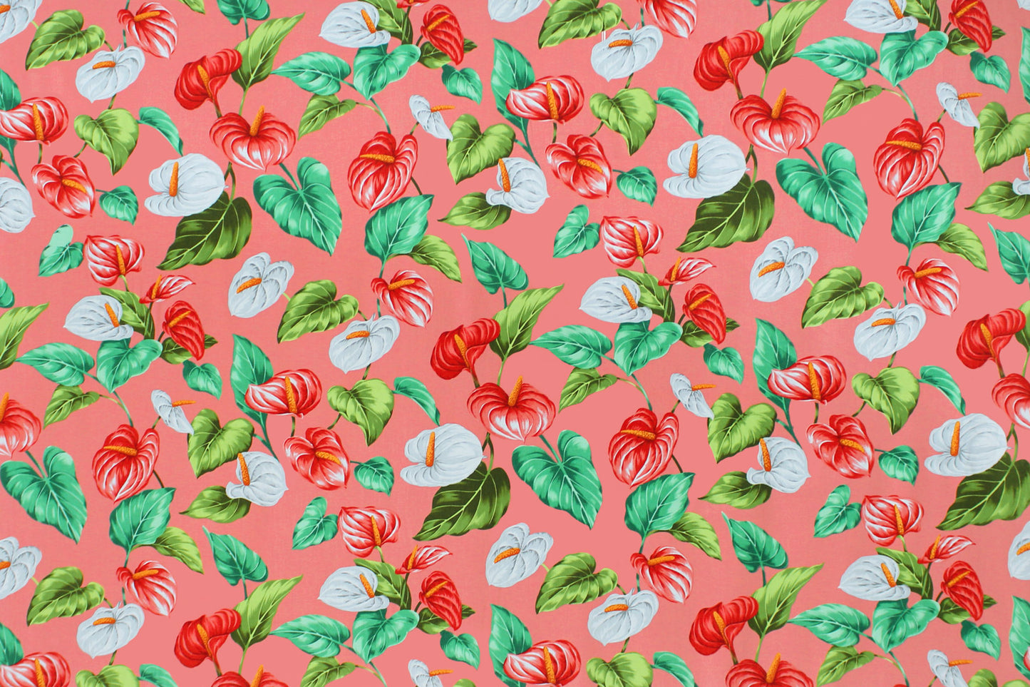 CAA1410 Coral