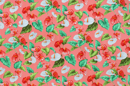 CAA1410 Coral