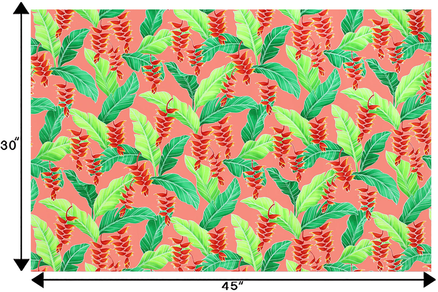 CAA1411 Coral
