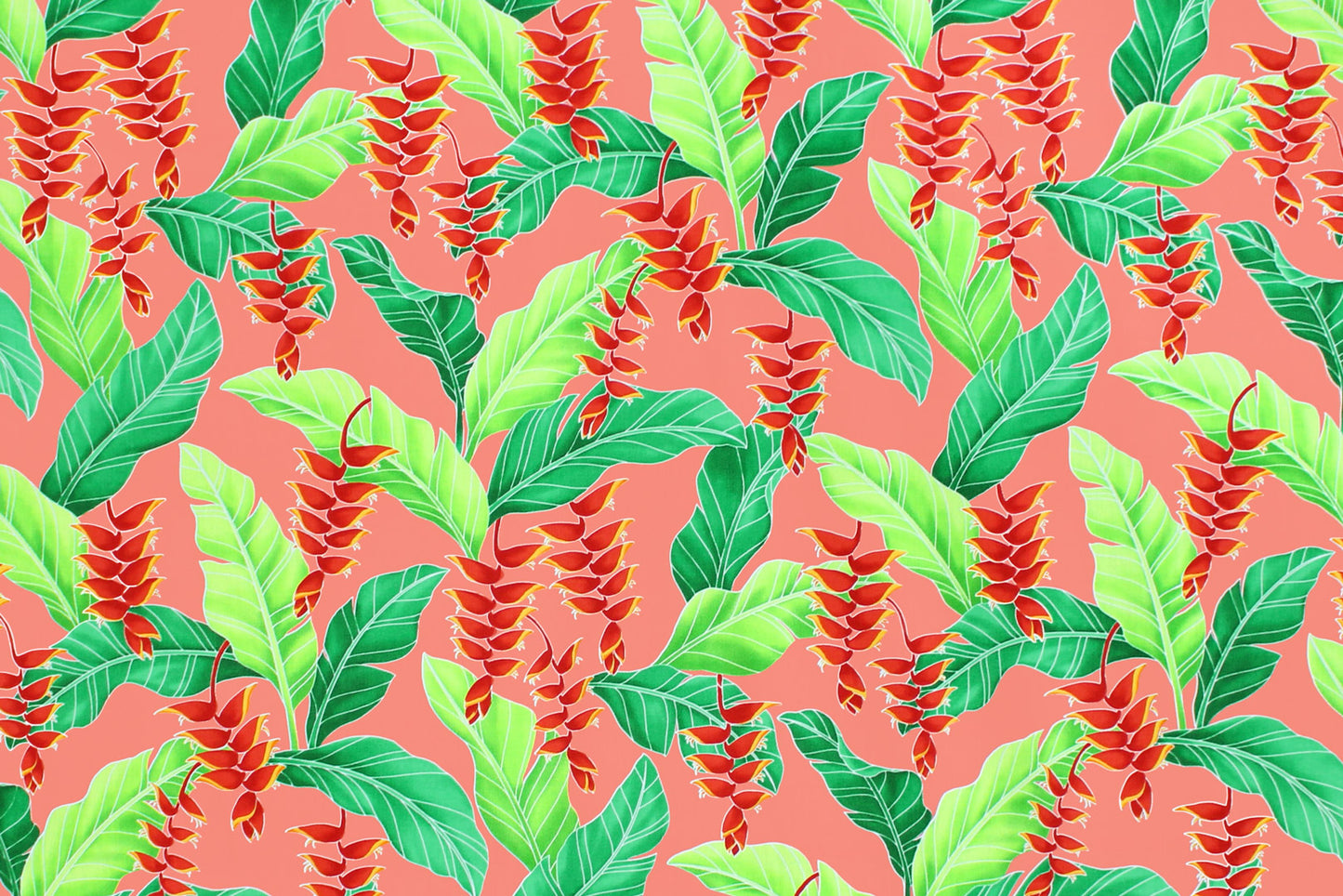 CAA1411 Coral