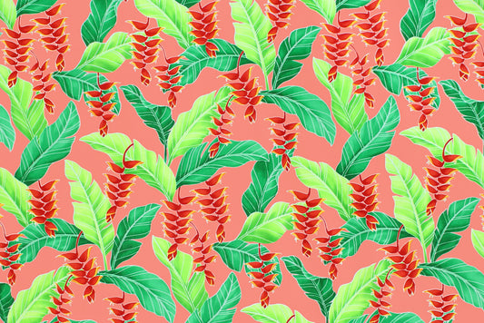 CAA1411 Coral