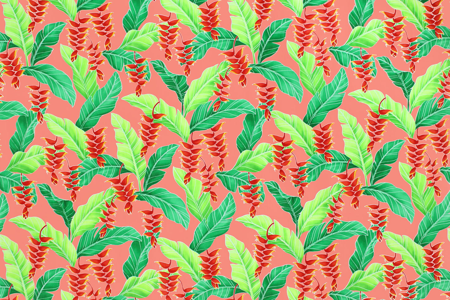 CAA1411 Coral