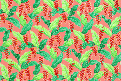 CAA1411 Coral