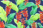 CAA1411 Navy
