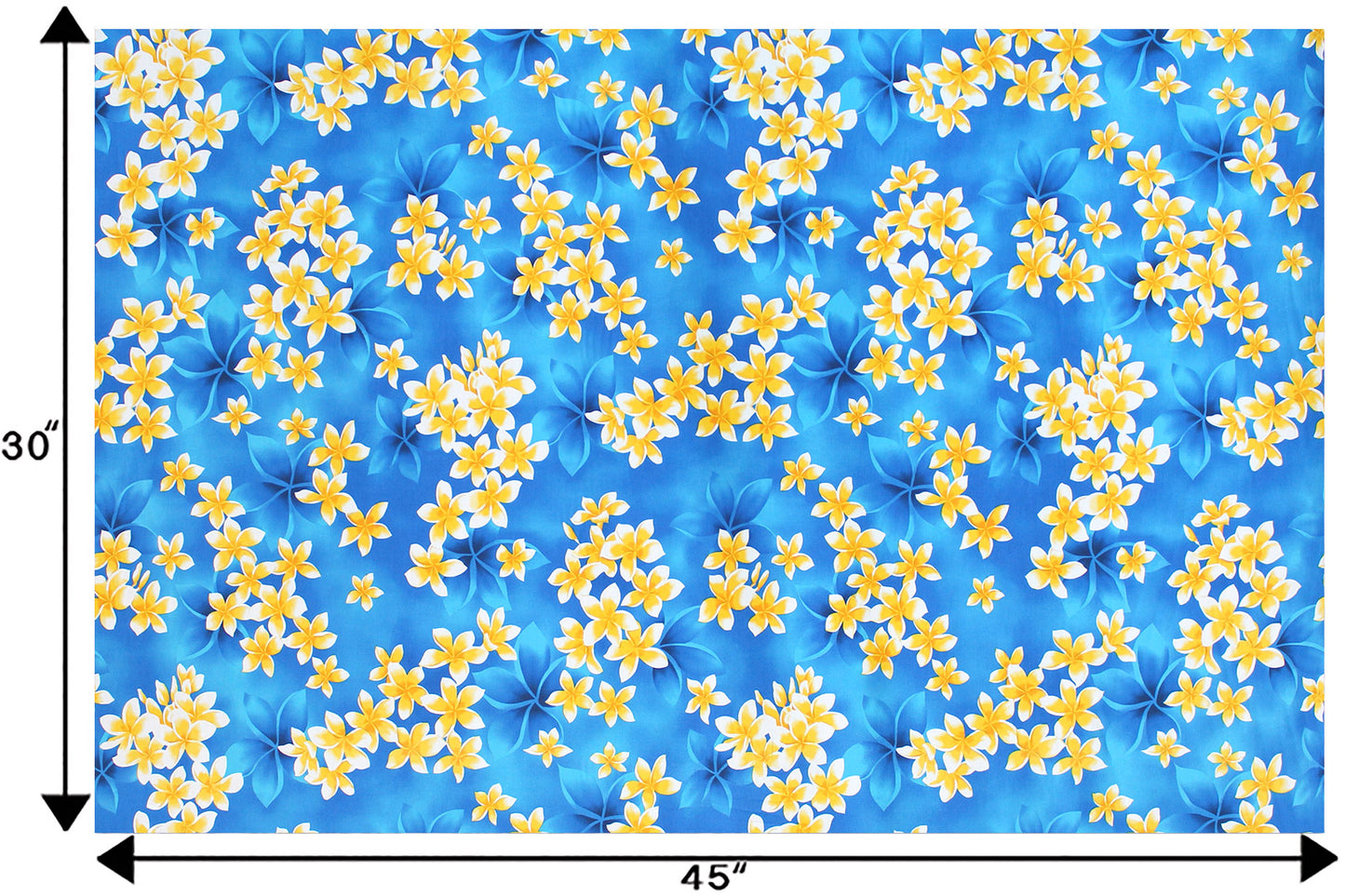 CAA1413 Blue