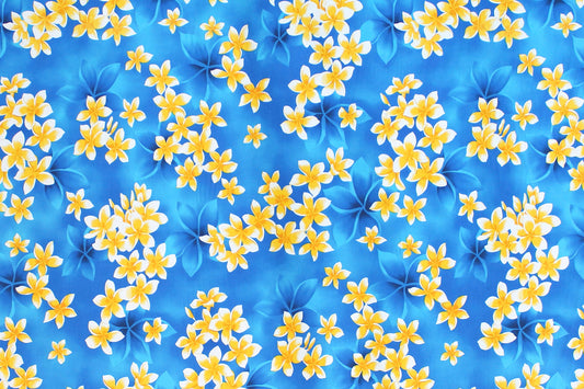 CAA1413 Blue