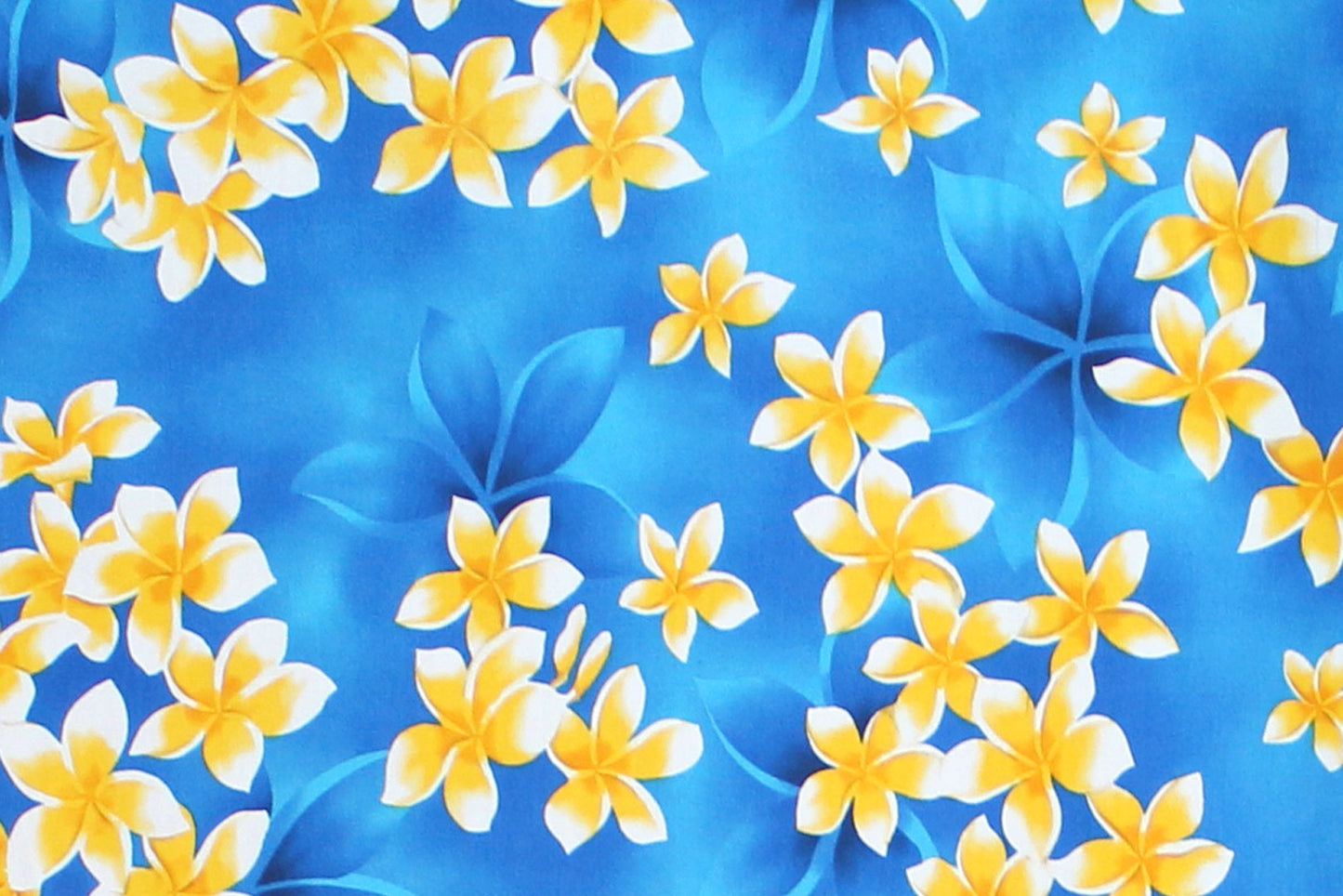 CAA1413 Blue