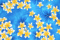 CAA1413 Blue