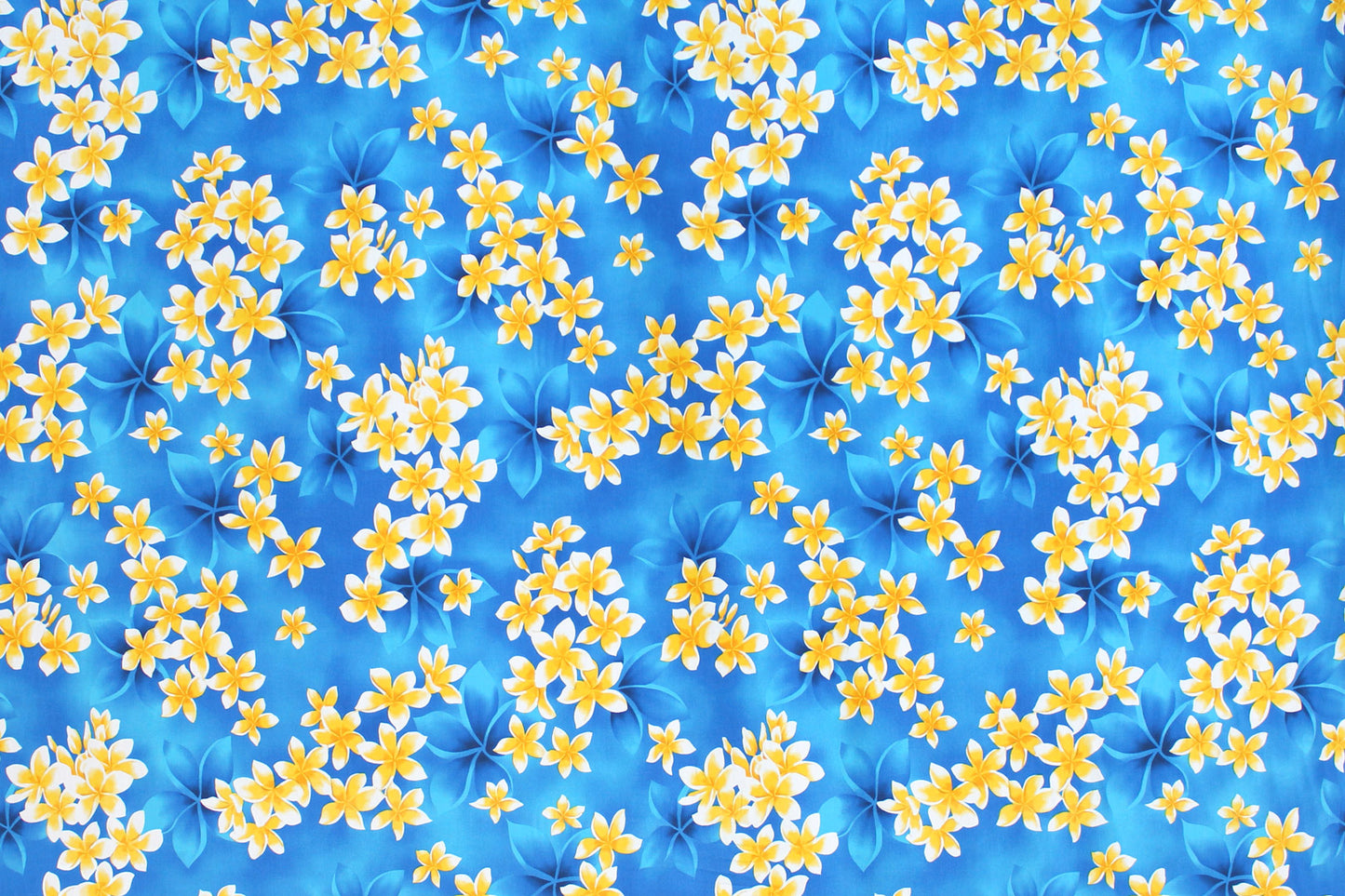 CAA1413 Blue