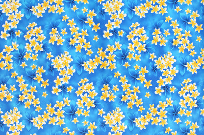 CAA1413 Blue