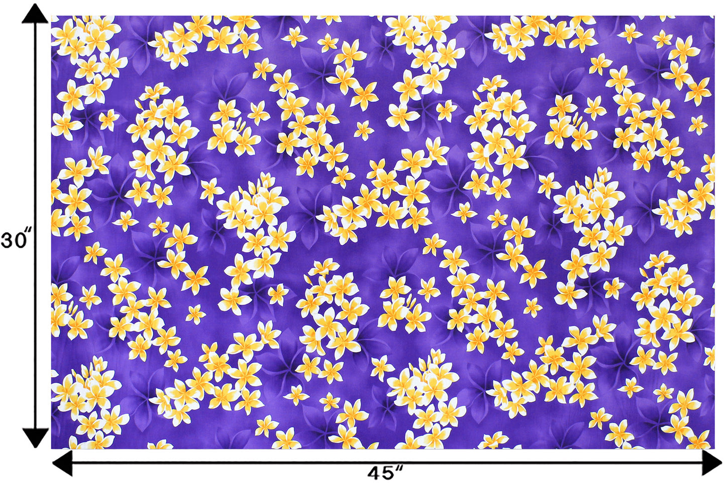 CAA1413 Purple