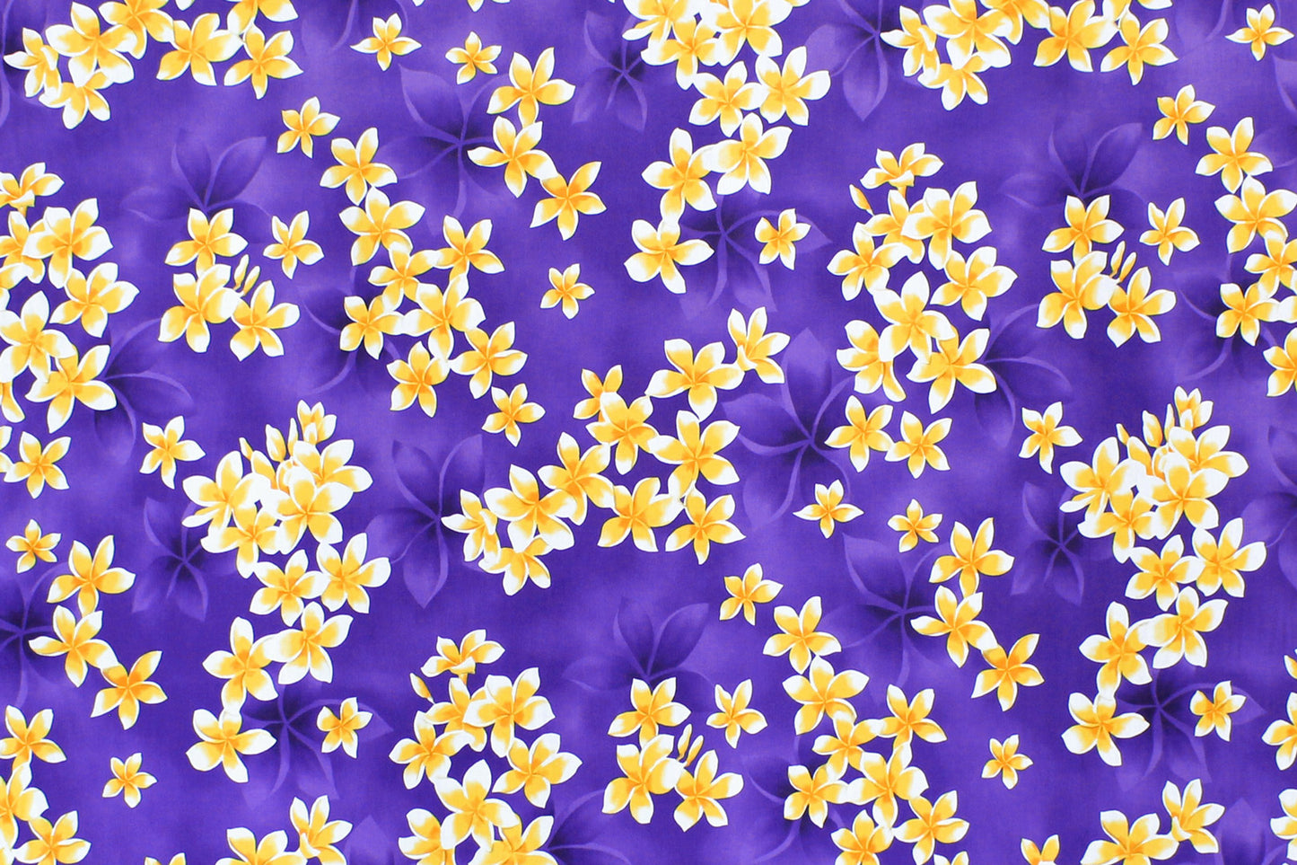 CAA1413 Purple