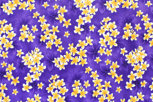CAA1413 Purple