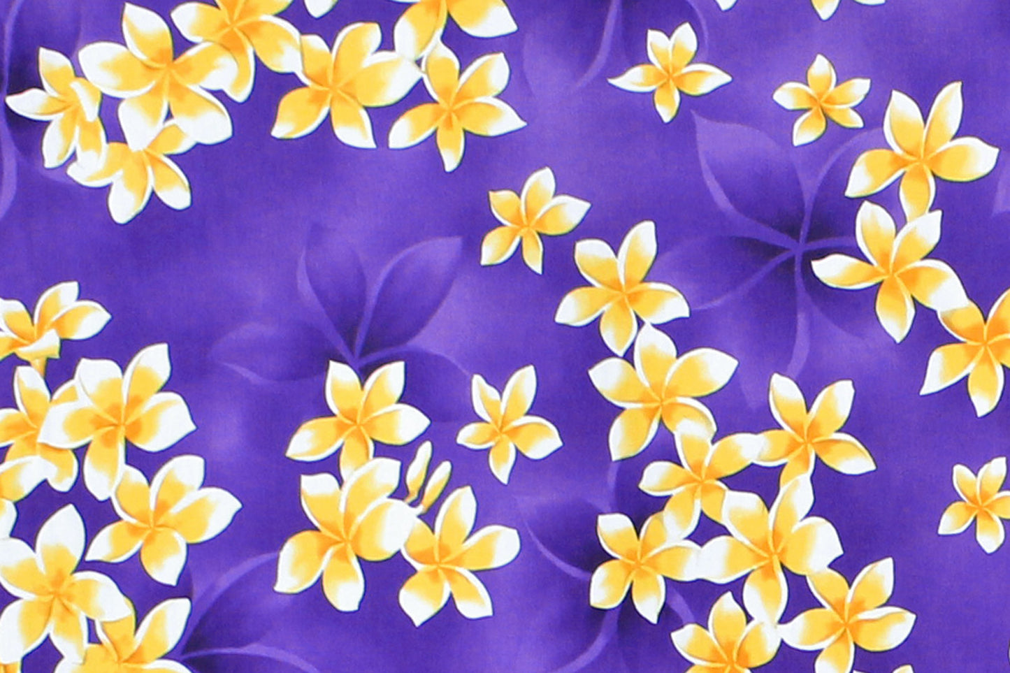 CAA1413 Purple