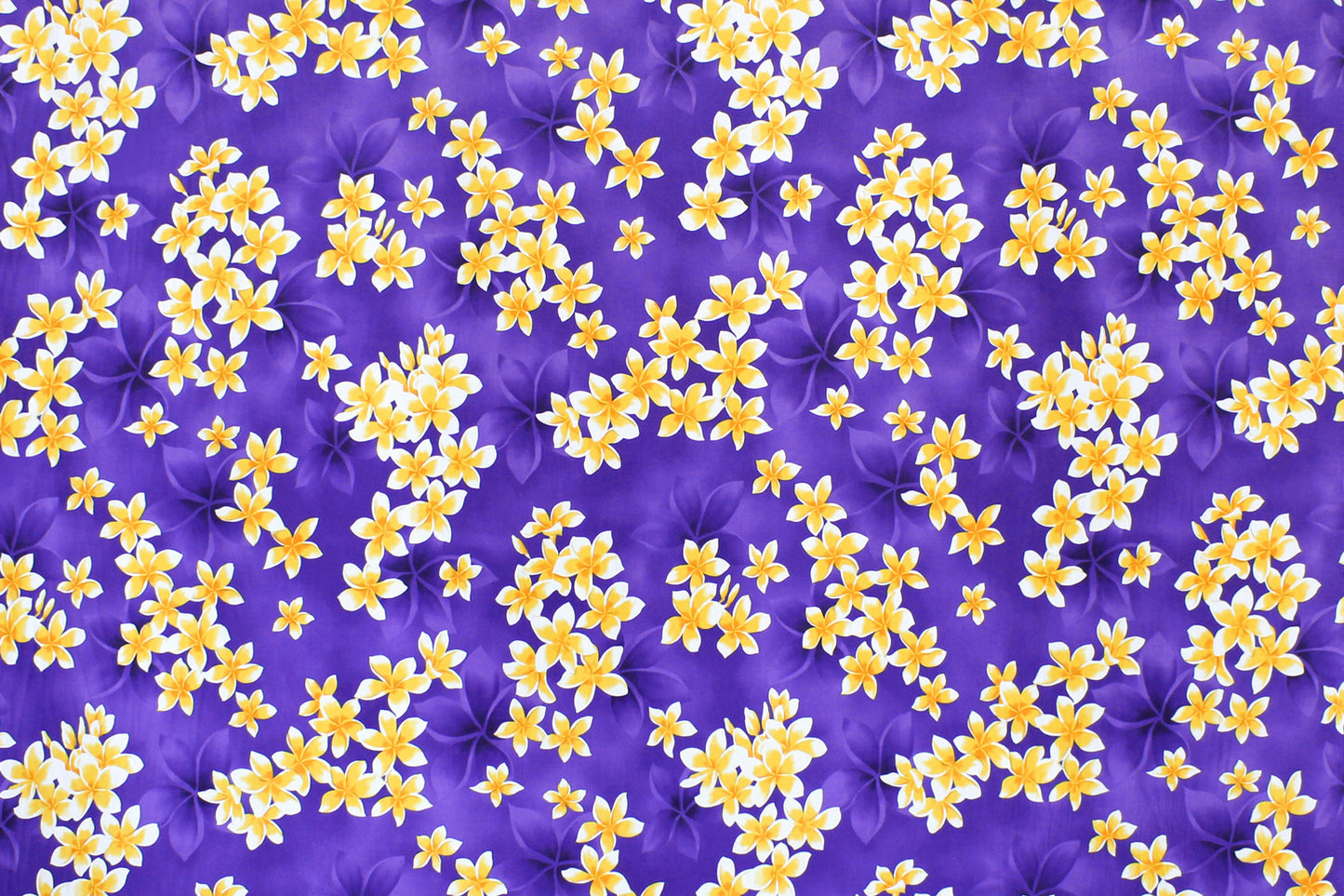 CAA1413 Purple