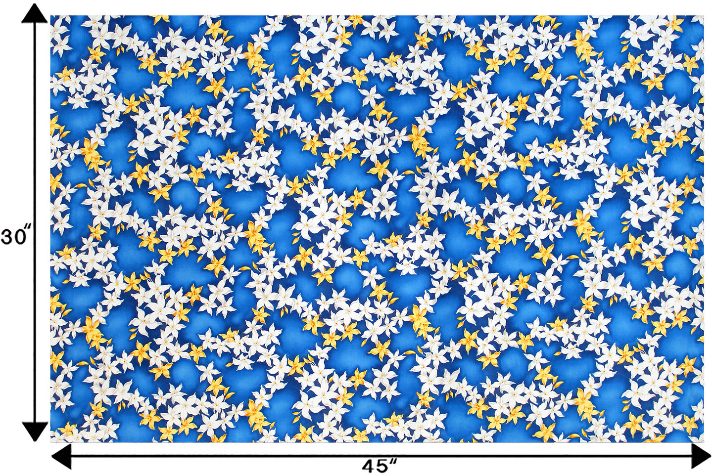 CAA1415 Blue
