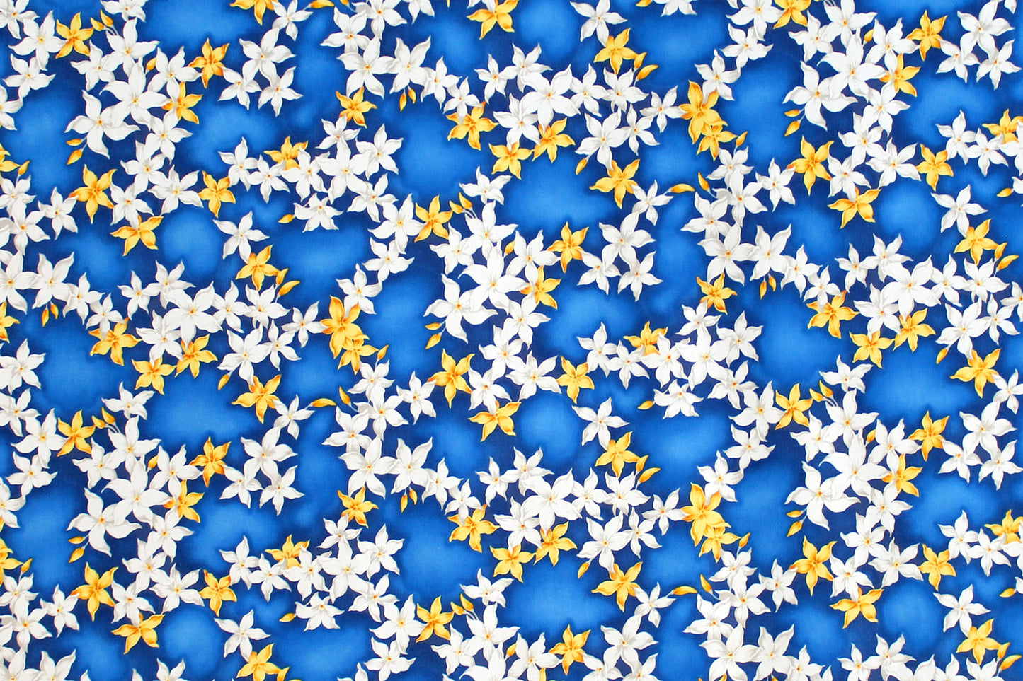 CAA1415 Blue
