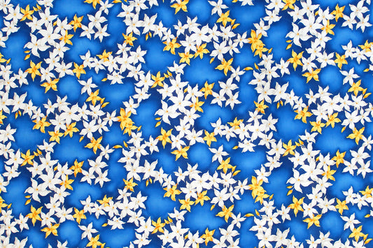 CAA1415 Blue