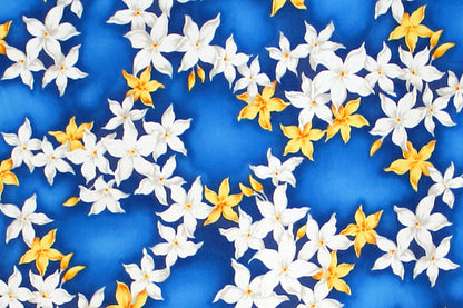 CAA1415 Blue