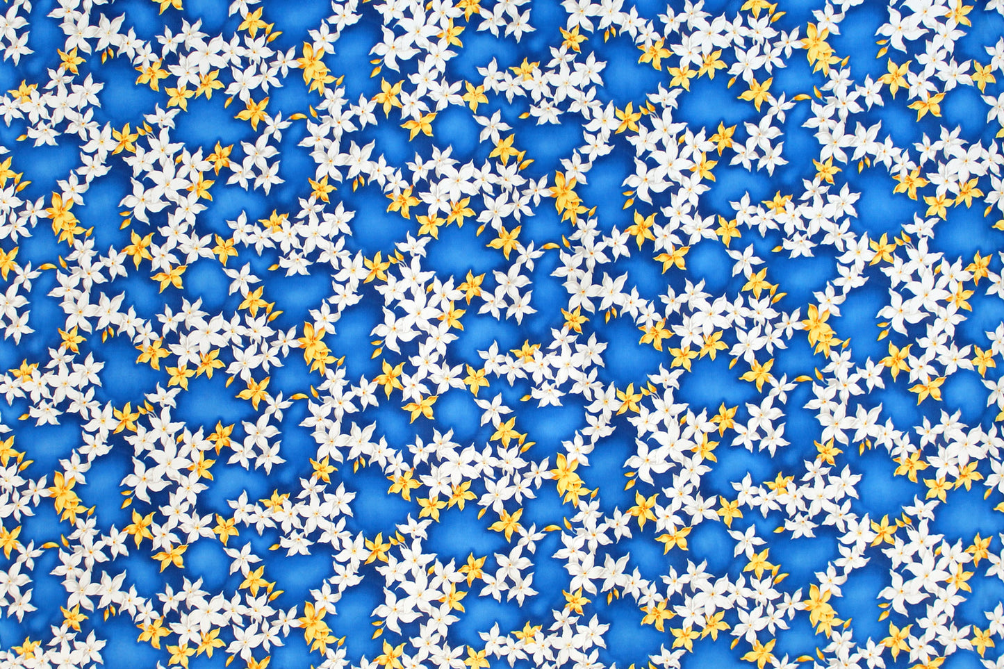 CAA1415 Blue