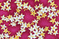 CAA1415 Pink