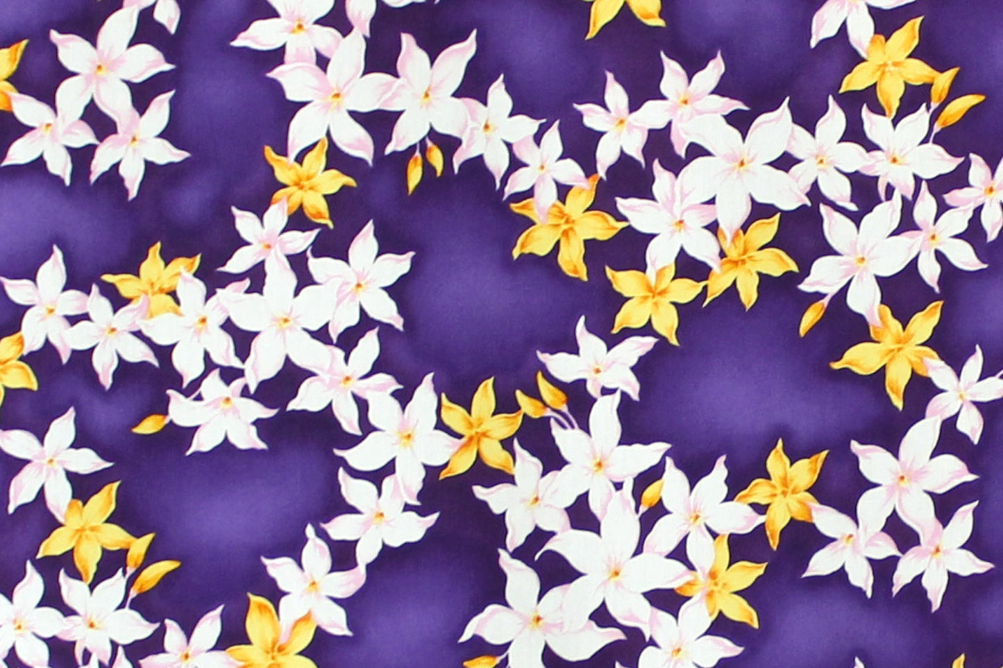 CAA1415 Purple