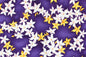 CAA1415 Purple