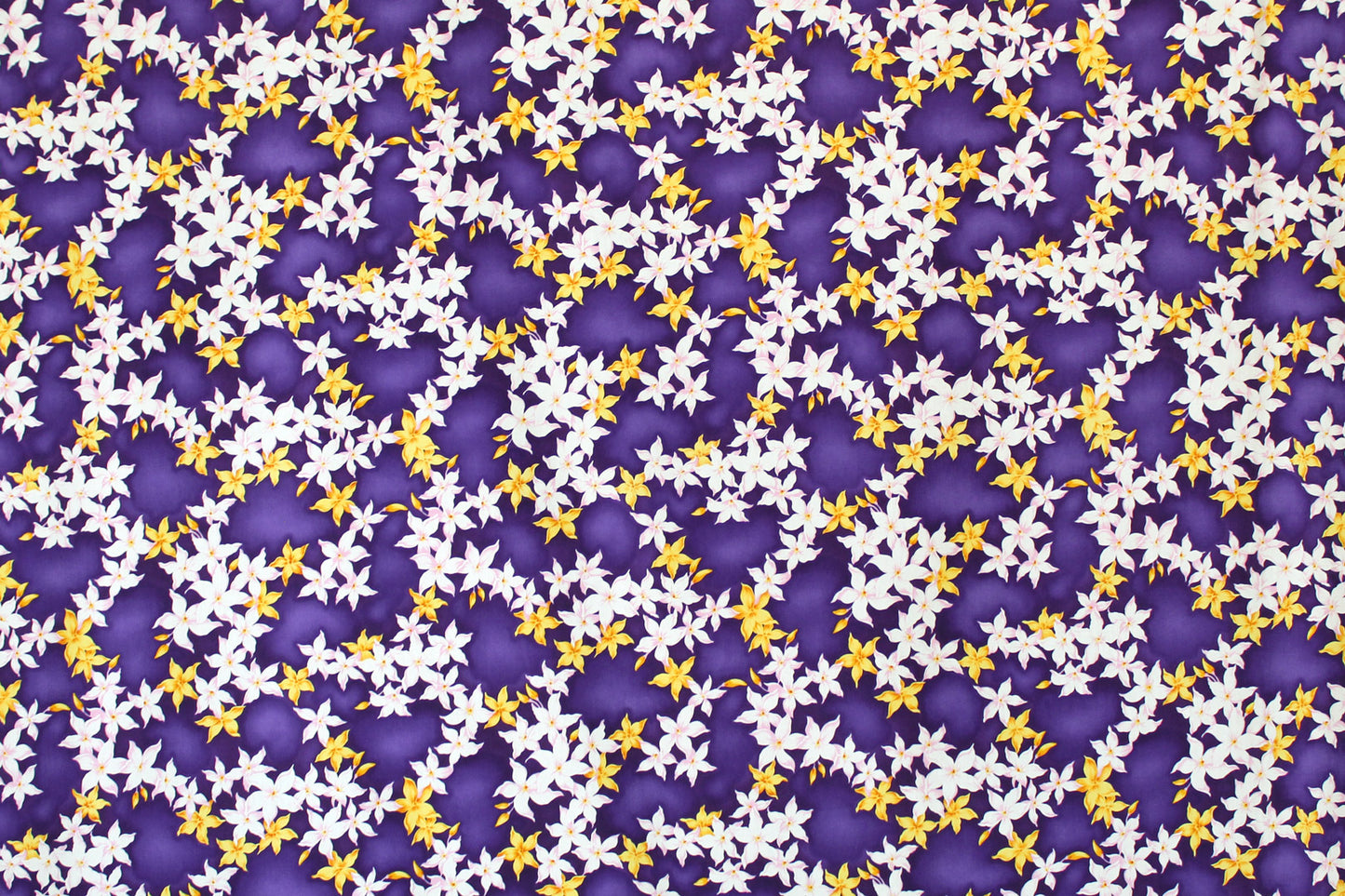 CAA1415 Purple