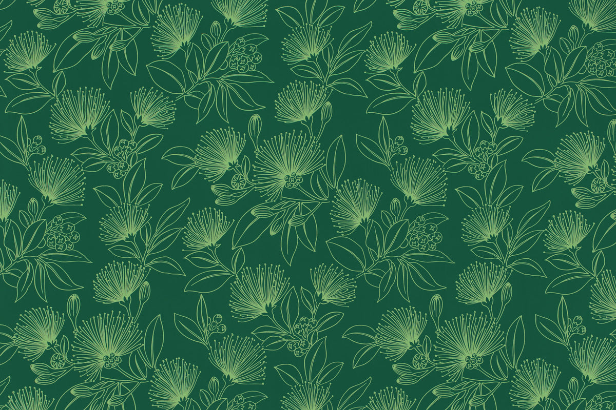 CAA1416 Avocado