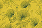 CAA1416 Citron