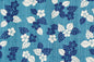 CAA1418 Blue