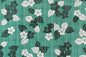 CAA1418 Teal