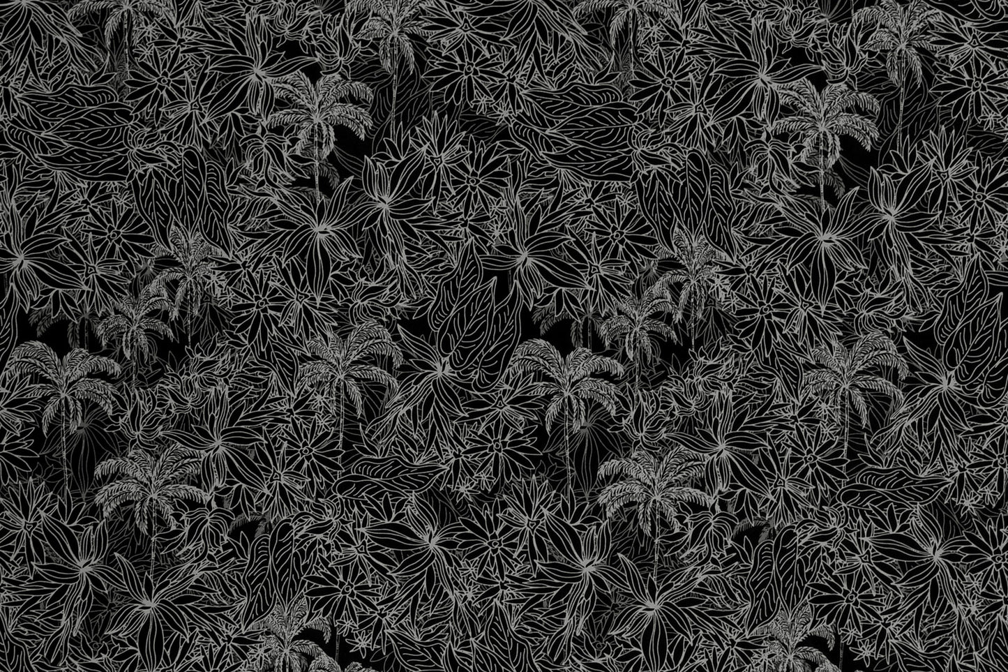 CAA1419 Black/Gray