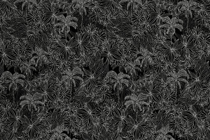 CAA1419 Black/Gray
