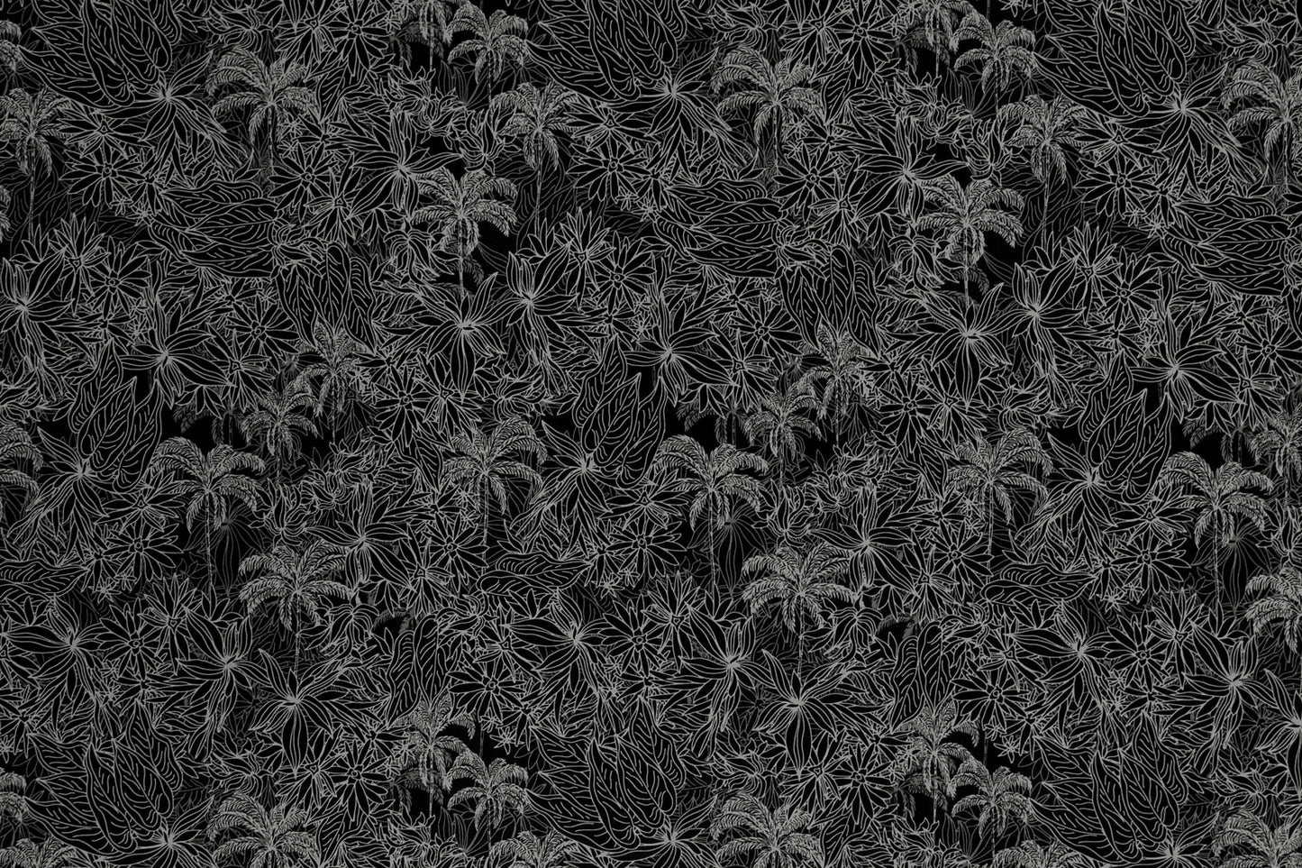 CAA1419 Black/Gray