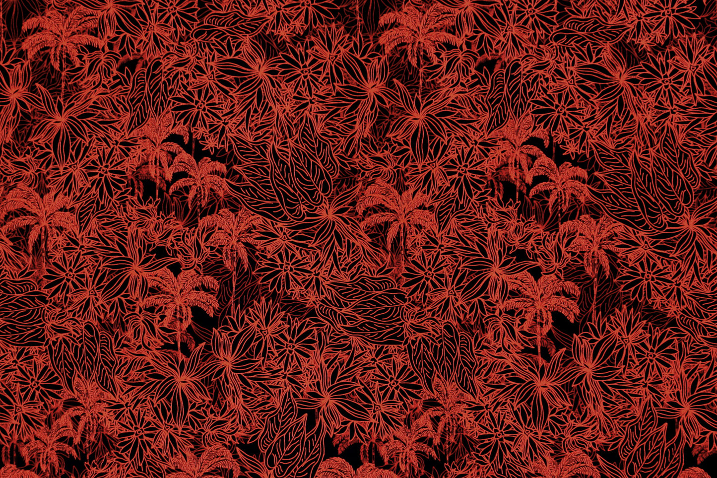 CAA1419 Black/Red