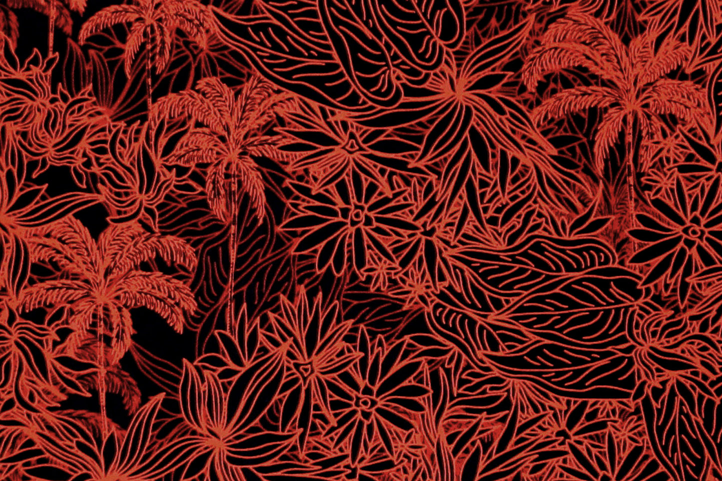 CAA1419 Black/Red