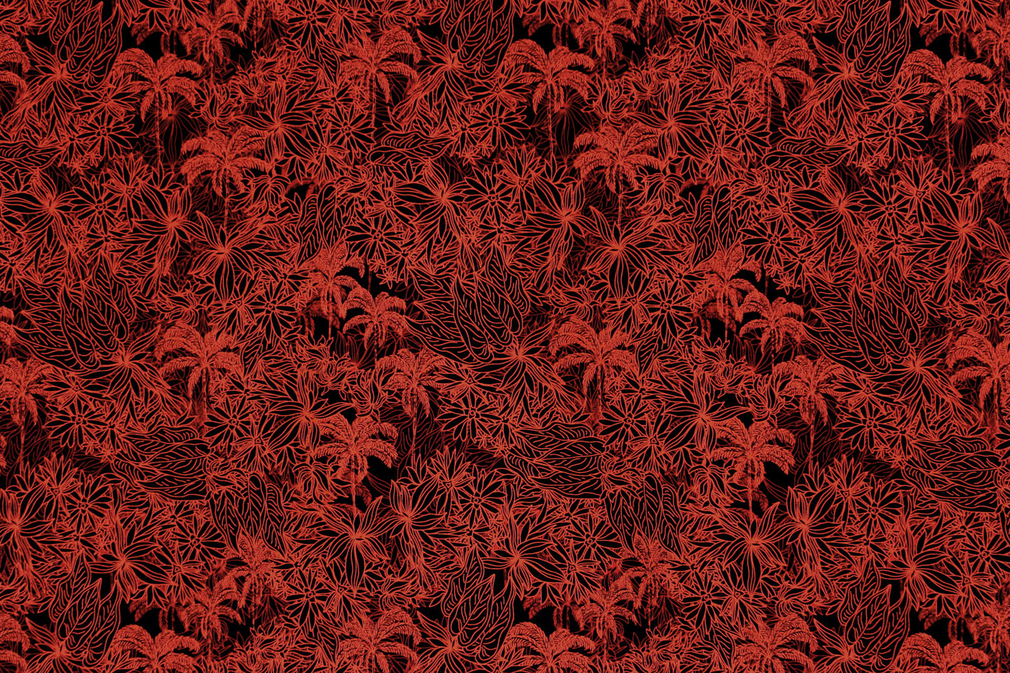CAA1419 Black/Red