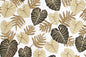 CAA1420 Cream