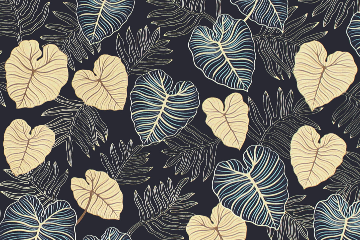 CAA1420 Navy