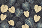 CAA1420 Navy